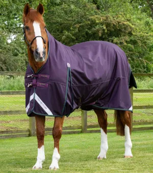 Buster Hardy 100g Half Neck Turnout Rug Purple