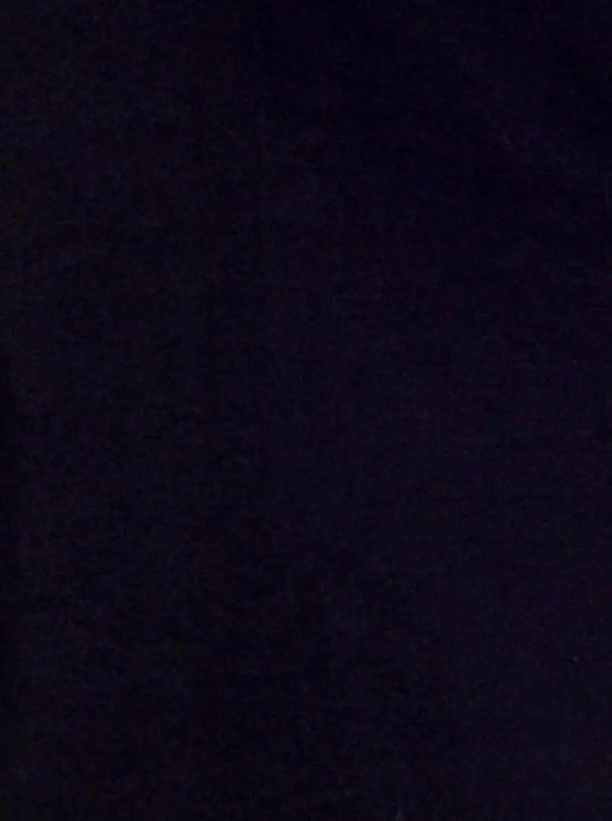 Jet Black Solid Slim Fit Casual Shirt | Greenfibre